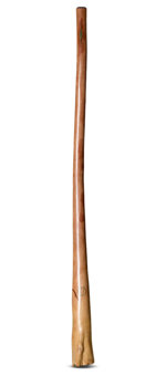 Marcos Ferrazza Didgeridoo (MF128)